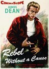 Rebel Without A Cause (1955)2.jpg